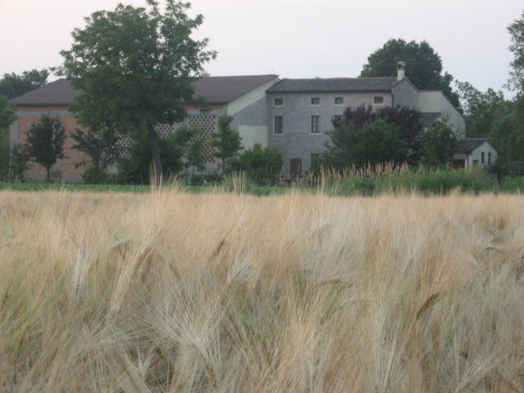 Agriturismo La Rovere Villa Cesole Buitenkant foto